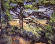 Paul Cezanne pine Sweden oil painting artist